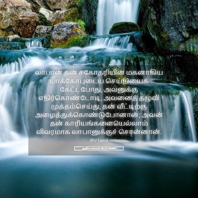 Picture 05 - ஆதியாகமம் 29:13 TAMIRV - லாபான் தன் - Bible Verse Picture