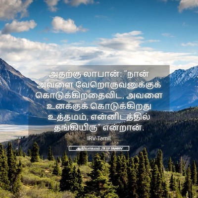 Picture 05 - ஆதியாகமம் 29:19 TAMIRV - அதற்கு லாபான்: - Bible Verse Picture