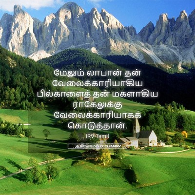 Picture 05 - ஆதியாகமம் 29:29 TAMIRV - மேலும் லாபான் தன் - Bible Verse Picture