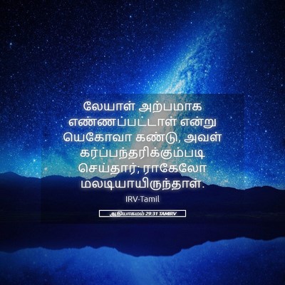 Picture 05 - ஆதியாகமம் 29:31 TAMIRV - லேயாள் அற்பமாக - Bible Verse Picture