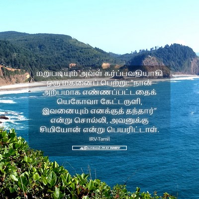 Picture 05 - ஆதியாகமம் 29:33 TAMIRV - மறுபடியும் அவள் - Bible Verse Picture
