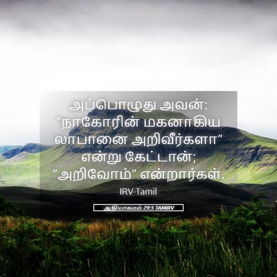 Picture 05 - ஆதியாகமம் 29:5 TAMIRV - அப்பொழுது அவன்: - Bible Verse Picture