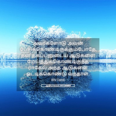 Picture 05 - ஆதியாகமம் 29:9 TAMIRV - அவர்களோடு அவன் - Bible Verse Picture