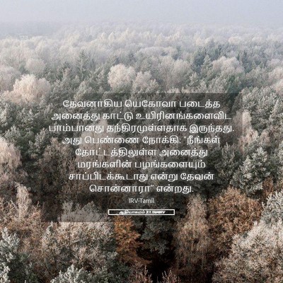 Picture 05 - ஆதியாகமம் 3:1 TAMIRV - தேவனாகிய யெகோவா - Bible Verse Picture
