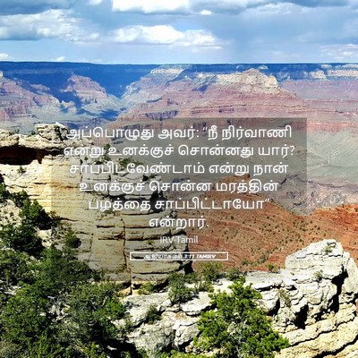 Picture 05 - ஆதியாகமம் 3:11 TAMIRV - அப்பொழுது அவர்: - Bible Verse Picture