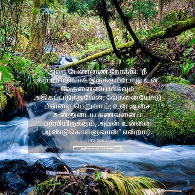 Picture 05 - ஆதியாகமம் 3:16 TAMIRV - அவர் பெண்ணை - Bible Verse Picture