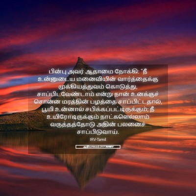 Picture 05 - ஆதியாகமம் 3:17 TAMIRV - பின்பு அவர் ஆதாமை - Bible Verse Picture