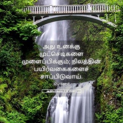Picture 05 - ஆதியாகமம் 3:18 TAMIRV - அது உனக்கு - Bible Verse Picture