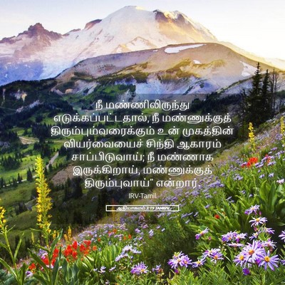 Picture 05 - ஆதியாகமம் 3:19 TAMIRV - நீ மண்ணிலிருந்து - Bible Verse Picture
