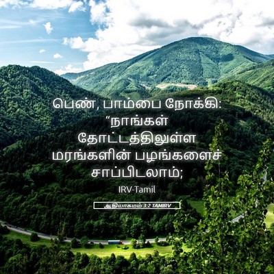 Picture 05 - ஆதியாகமம் 3:2 TAMIRV - பெண், பாம்பை - Bible Verse Picture