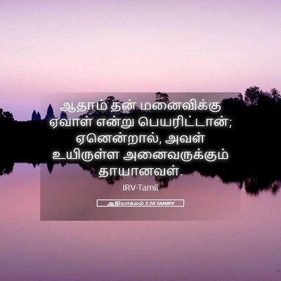 Picture 05 - ஆதியாகமம் 3:20 TAMIRV - ஆதாம் தன் - Bible Verse Picture