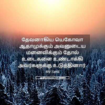 Picture 05 - ஆதியாகமம் 3:21 TAMIRV - தேவனாகிய யெகோவா - Bible Verse Picture