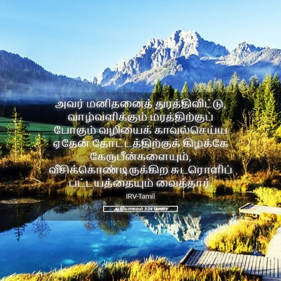 Picture 05 - ஆதியாகமம் 3:24 TAMIRV - அவர் மனிதனைத் - Bible Verse Picture