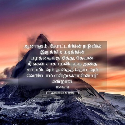 Picture 05 - ஆதியாகமம் 3:3 TAMIRV - ஆனாலும், - Bible Verse Picture