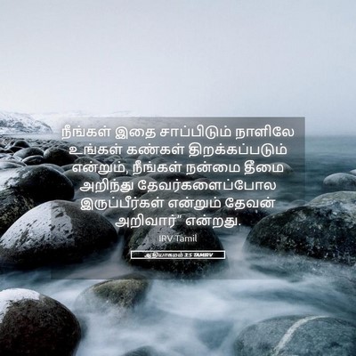 Picture 05 - ஆதியாகமம் 3:5 TAMIRV - நீங்கள் இதை - Bible Verse Picture