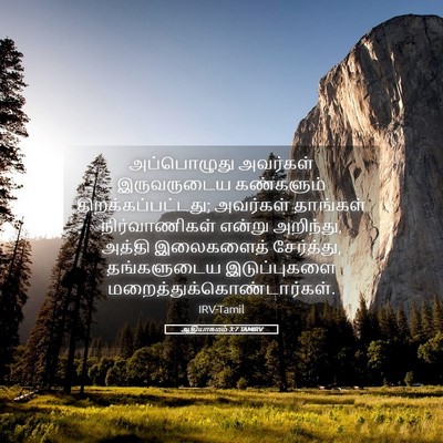 Picture 05 - ஆதியாகமம் 3:7 TAMIRV - அப்பொழுது அவர்கள் - Bible Verse Picture