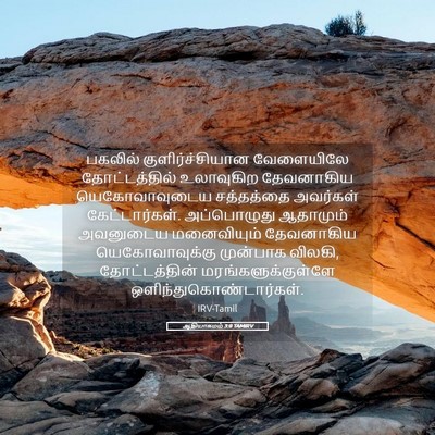 Picture 05 - ஆதியாகமம் 3:8 TAMIRV - பகலில் - Bible Verse Picture