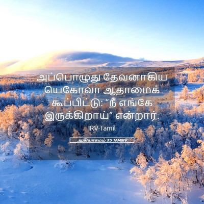 Picture 05 - ஆதியாகமம் 3:9 TAMIRV - அப்பொழுது - Bible Verse Picture