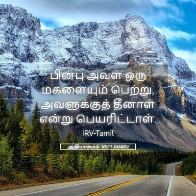 Picture 05 - ஆதியாகமம் 30:21 TAMIRV - பின்பு அவள் ஒரு - Bible Verse Picture