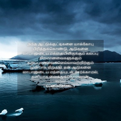 Picture 05 - ஆதியாகமம் 30:40 TAMIRV - அந்த - Bible Verse Picture