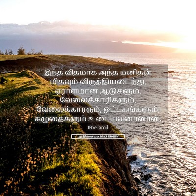 Picture 05 - ஆதியாகமம் 30:43 TAMIRV - இந்த விதமாக அந்த - Bible Verse Picture