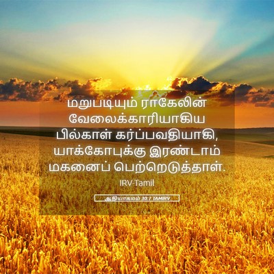Picture 05 - ஆதியாகமம் 30:7 TAMIRV - மறுபடியும் - Bible Verse Picture