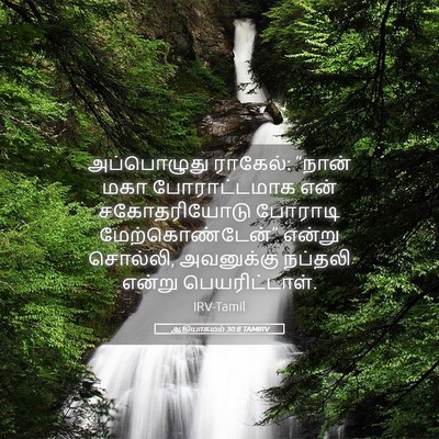 Picture 05 - ஆதியாகமம் 30:8 TAMIRV - அப்பொழுது ராகேல்: - Bible Verse Picture
