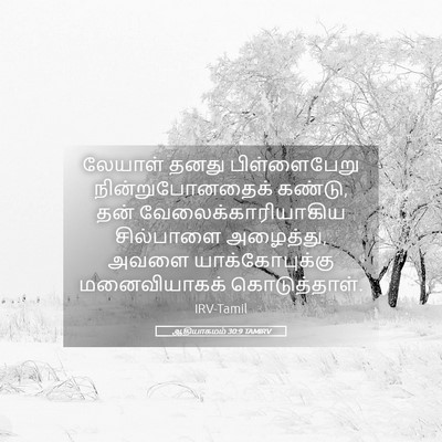 Picture 05 - ஆதியாகமம் 30:9 TAMIRV - லேயாள் தனது - Bible Verse Picture