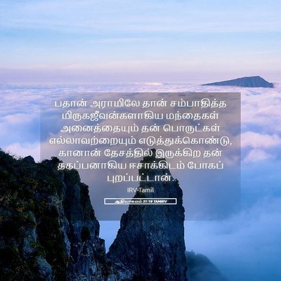 Picture 05 - ஆதியாகமம் 31:18 TAMIRV - பதான் அராமிலே - Bible Verse Picture