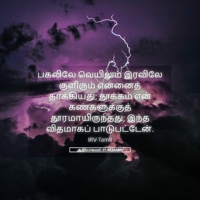 Picture 05 - ஆதியாகமம் 31:40 TAMIRV - பகலிலே வெயிலும் - Bible Verse Picture