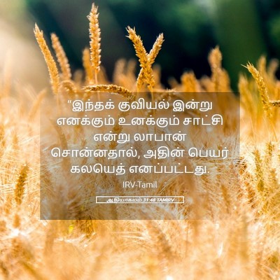 Picture 05 - ஆதியாகமம் 31:48 TAMIRV - “இந்தக் குவியல் - Bible Verse Picture