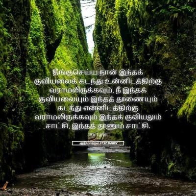 Picture 05 - ஆதியாகமம் 31:52 TAMIRV - தீங்குசெய்ய நான் - Bible Verse Picture