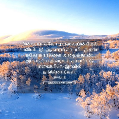 Picture 05 - ஆதியாகமம் 31:54 TAMIRV - பின்பு, யாக்கோபு - Bible Verse Picture
