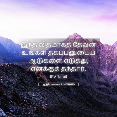 Picture 05 - ஆதியாகமம் 31:9 TAMIRV - இந்த விதமாகத் - Bible Verse Picture