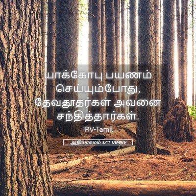 Picture 05 - ஆதியாகமம் 32:1 TAMIRV - யாக்கோபு பயணம் - Bible Verse Picture