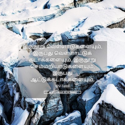 Picture 05 - ஆதியாகமம் 32:14 TAMIRV - இருநூறு - Bible Verse Picture