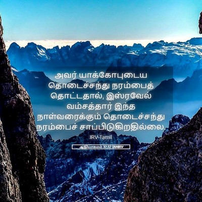 Picture 05 - ஆதியாகமம் 32:32 TAMIRV - அவர் யாக்கோபுடைய - Bible Verse Picture