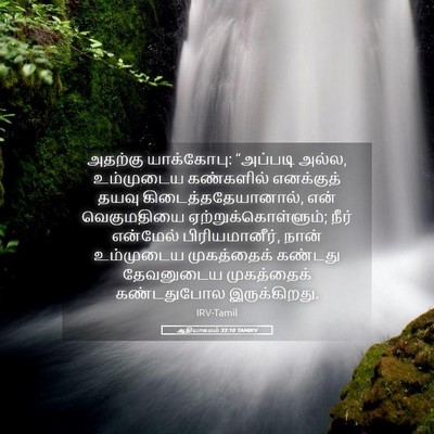Picture 05 - ஆதியாகமம் 33:10 TAMIRV - அதற்கு யாக்கோபு: - Bible Verse Picture