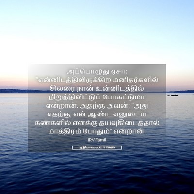 Picture 05 - ஆதியாகமம் 33:15 TAMIRV - அப்பொழுது ஏசா: - Bible Verse Picture