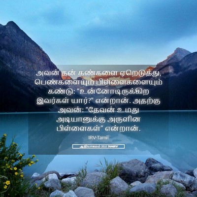Picture 05 - ஆதியாகமம் 33:5 TAMIRV - அவன் தன் கண்களை - Bible Verse Picture
