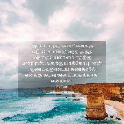 Picture 05 - ஆதியாகமம் 33:8 TAMIRV - அப்பொழுது ஏசா: - Bible Verse Picture