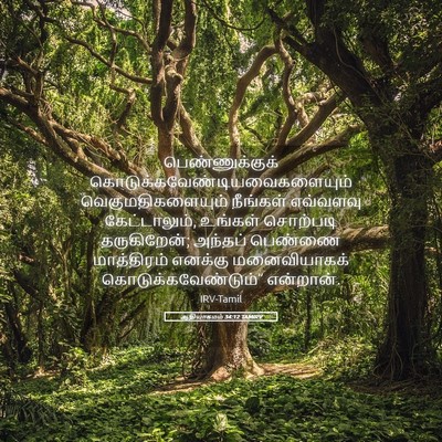 Picture 05 - ஆதியாகமம் 34:12 TAMIRV - பெண்ணுக்குக் - Bible Verse Picture