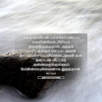 Picture 05 - ஆதியாகமம் 34:19 TAMIRV - அந்த வாலிபன் - Bible Verse Picture