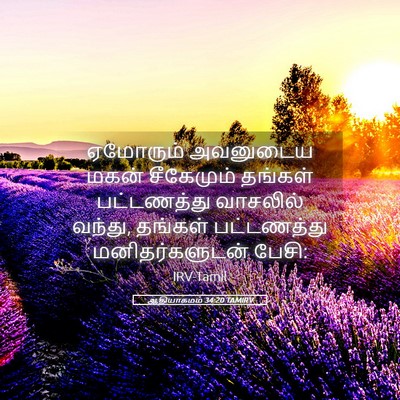 Picture 05 - ஆதியாகமம் 34:20 TAMIRV - ஏமோரும் அவனுடைய - Bible Verse Picture