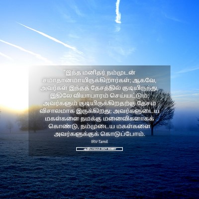 Picture 05 - ஆதியாகமம் 34:21 TAMIRV - “இந்த மனிதர் - Bible Verse Picture