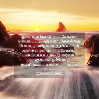 Picture 05 - ஆதியாகமம் 34:22 TAMIRV - அந்த மனிதர் - Bible Verse Picture