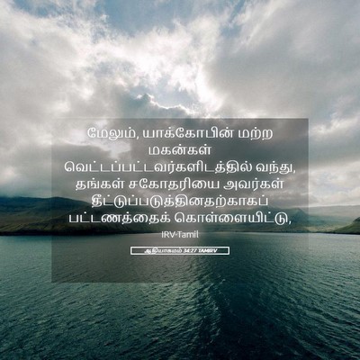 Picture 05 - ஆதியாகமம் 34:27 TAMIRV - மேலும், - Bible Verse Picture