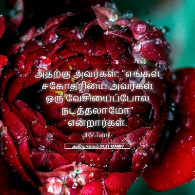 Picture 05 - ஆதியாகமம் 34:31 TAMIRV - அதற்கு அவர்கள்: - Bible Verse Picture