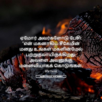 Picture 05 - ஆதியாகமம் 34:8 TAMIRV - ஏமோர் அவர்களோடு - Bible Verse Picture