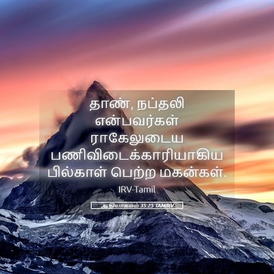 Picture 05 - ஆதியாகமம் 35:25 TAMIRV - தாண், நப்தலி - Bible Verse Picture